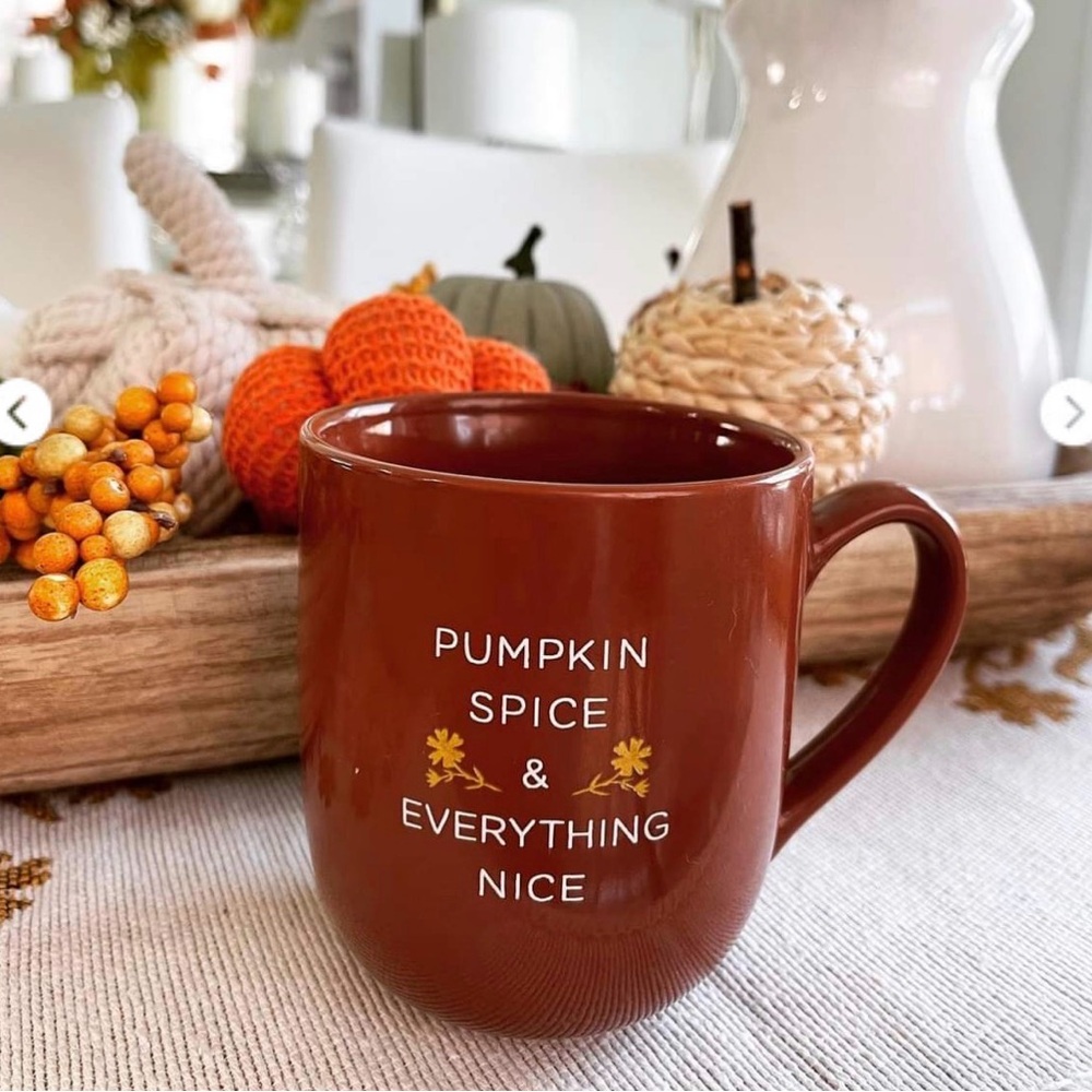Pumpkin Spice Mug - Brown with  “pumpkin spice & everything nice”